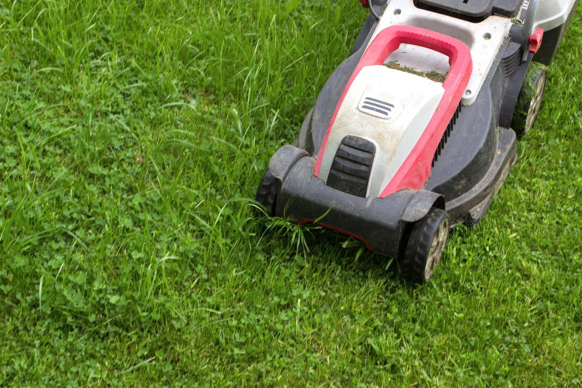 Cost to Buy and Run - Electric vs Petrol Rotary Mowers